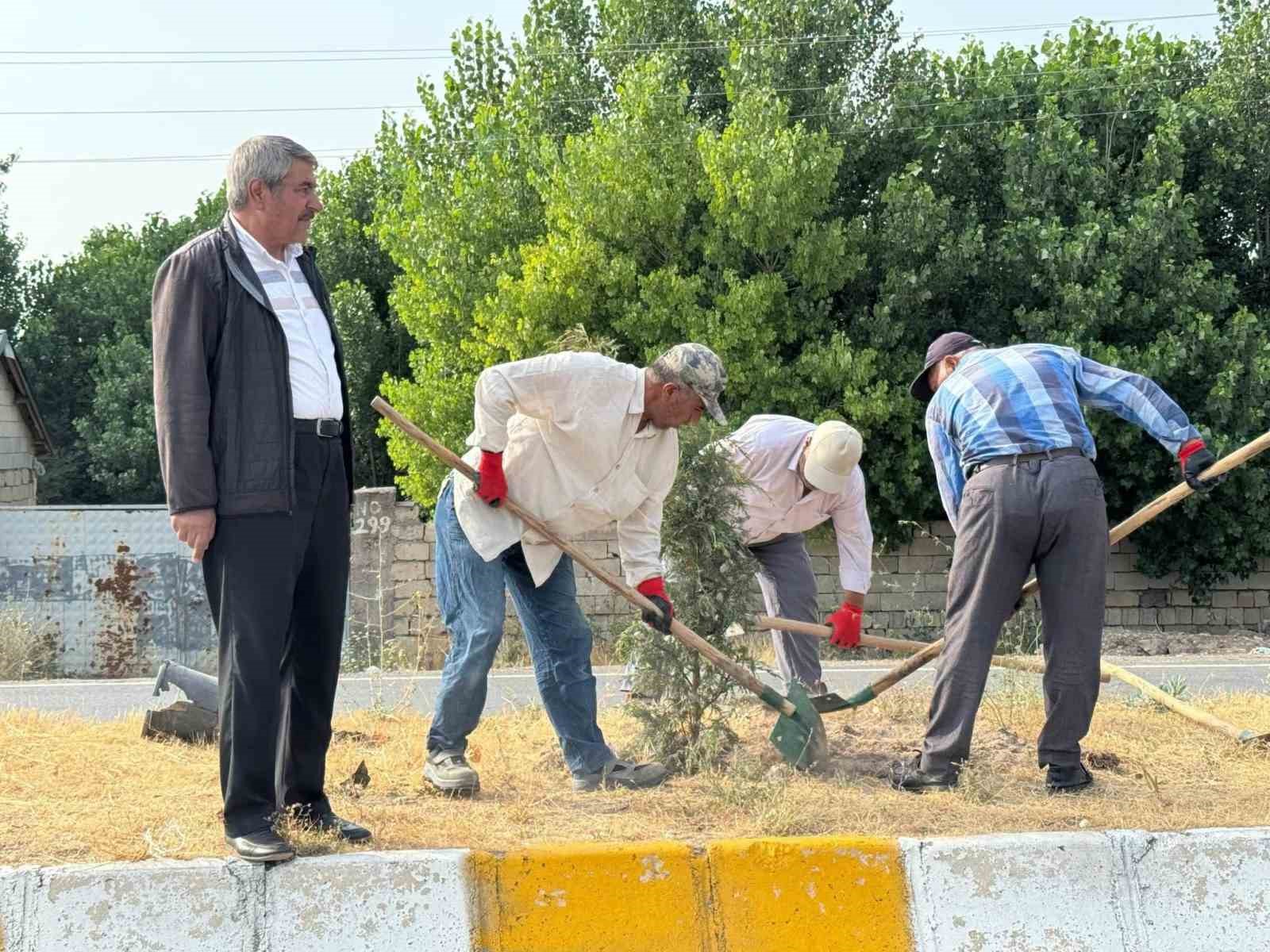 Patnos&rsquo;ta yeşil alan &ccedil;alışmaları s&uuml;r&uuml;yor
