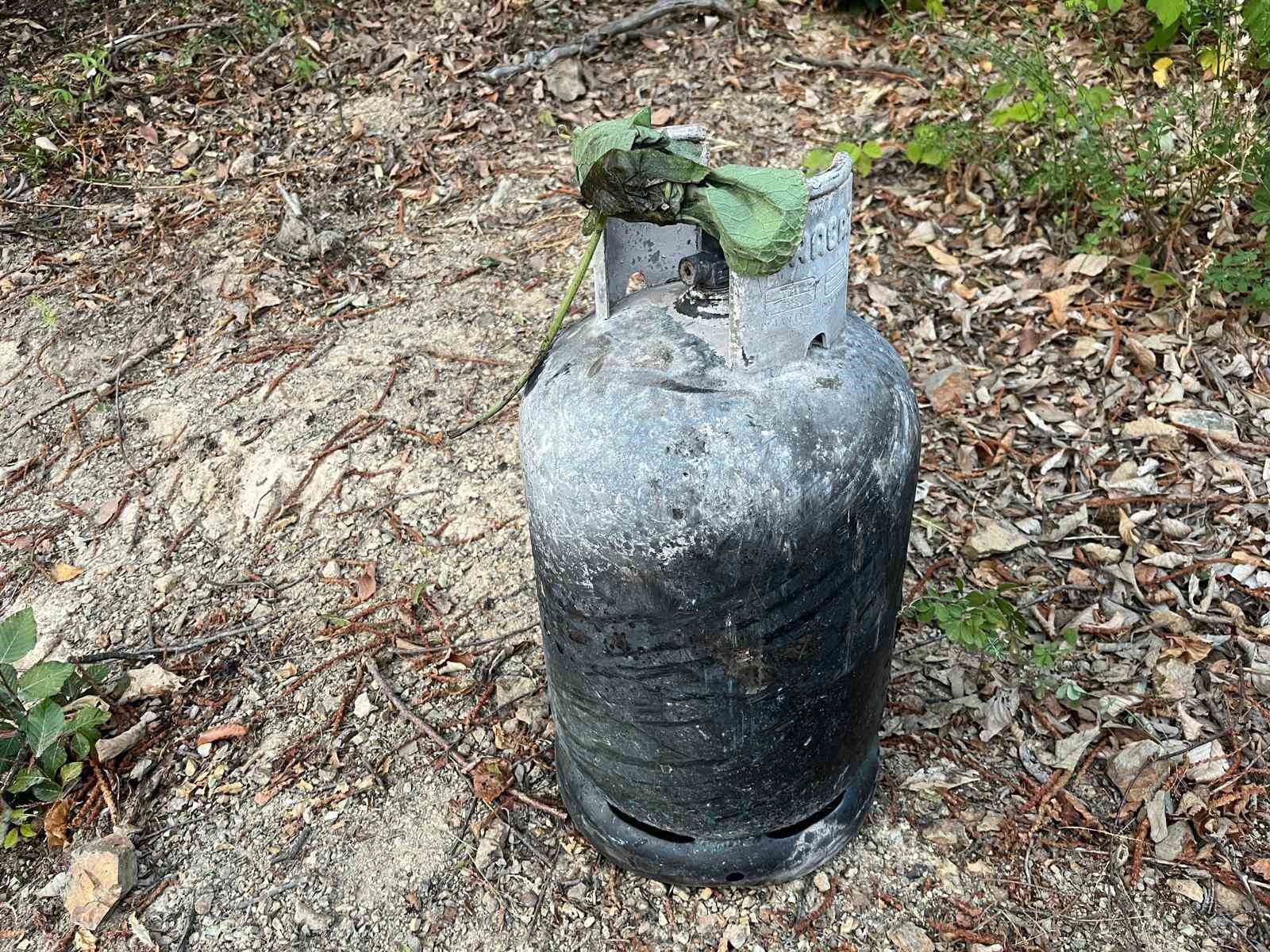 Sakarya Hendek’teki orman yangınının sebebi belli oldu
