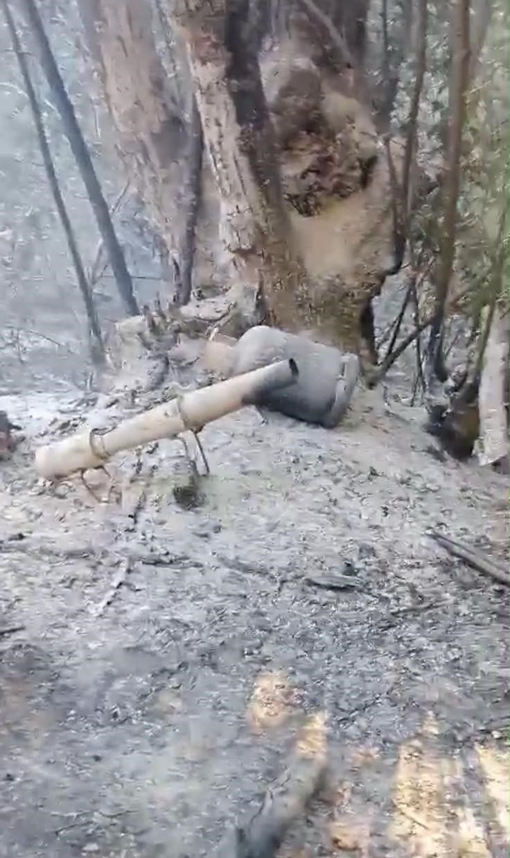 Sakarya Hendek&rsquo;teki orman yangınının sebebi belli oldu
