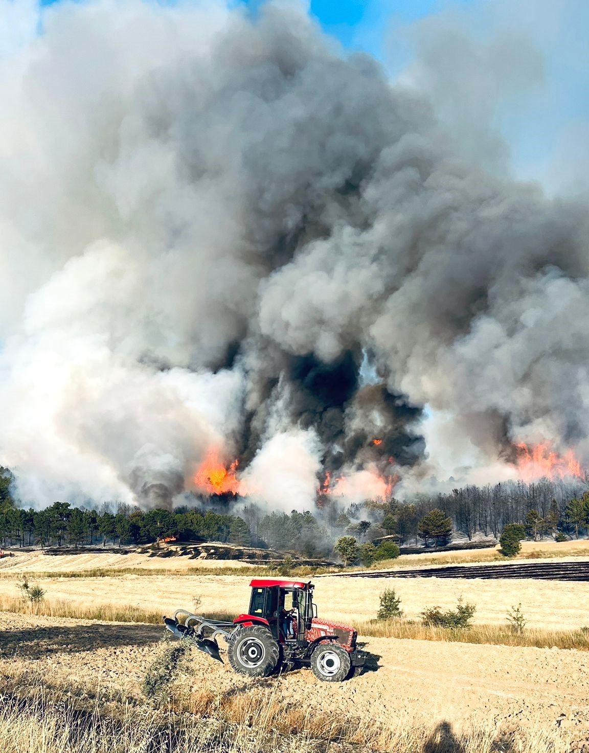 K&uuml;tahya&rsquo;da orman yangını
