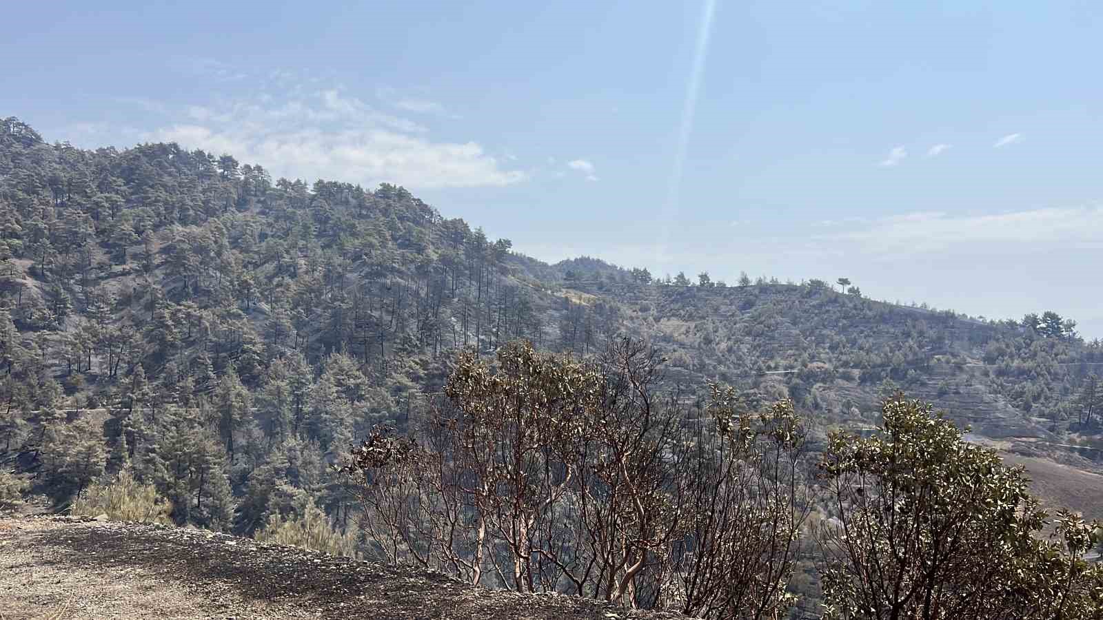 Kahramanmaraş’ta bin 500 hektar alanı etkileyen orman yangını kontrol altına alındı