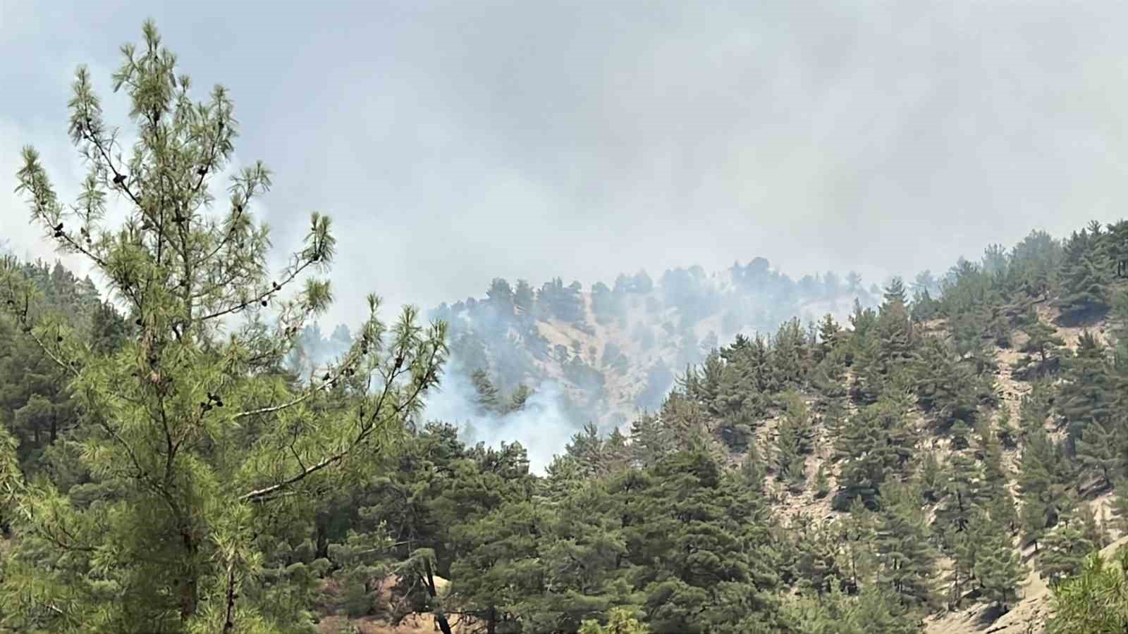 Kahramanmaraş&rsquo;ta bin 500 hektar alanı etkileyen orman yangını kontrol altına alındı
