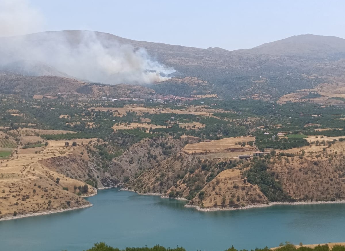 Malatya’da orman yangınına havadan müdahale