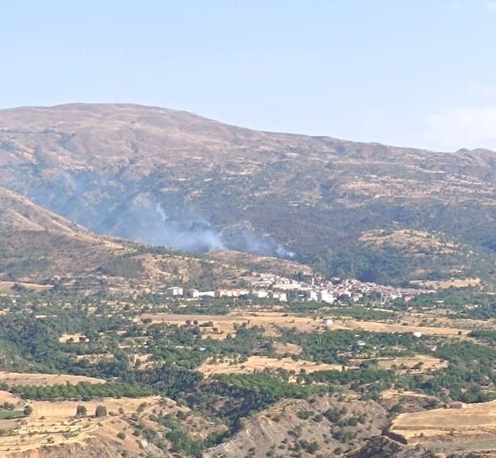 Malatya&rsquo;da orman yangınına havadan m&uuml;dahale
