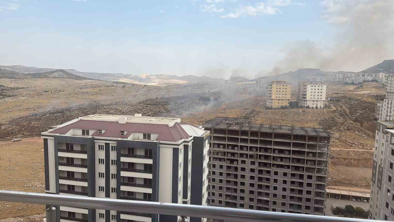 Mardin’de otluk alanda çıkan yangın söndürüldü