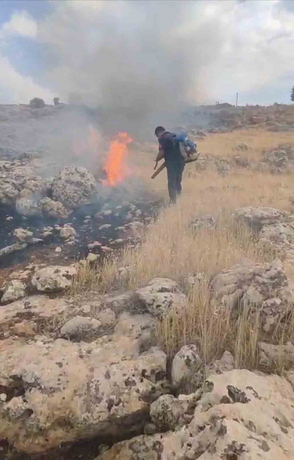 Mardin’de otluk alanda çıkan yangın söndürüldü
