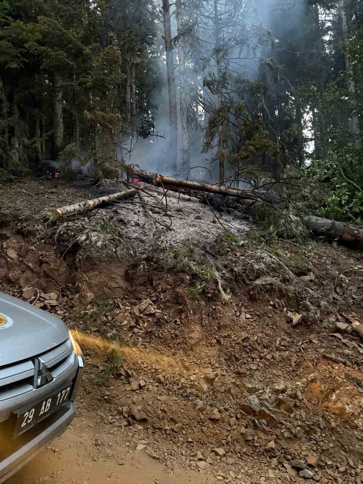 Gümüşhane’deki orman yangını söndürüldü
