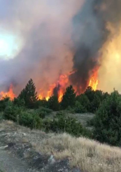 K&uuml;tahya&rsquo;daki orman yangını s&ouml;nd&uuml;r&uuml;ld&uuml;
