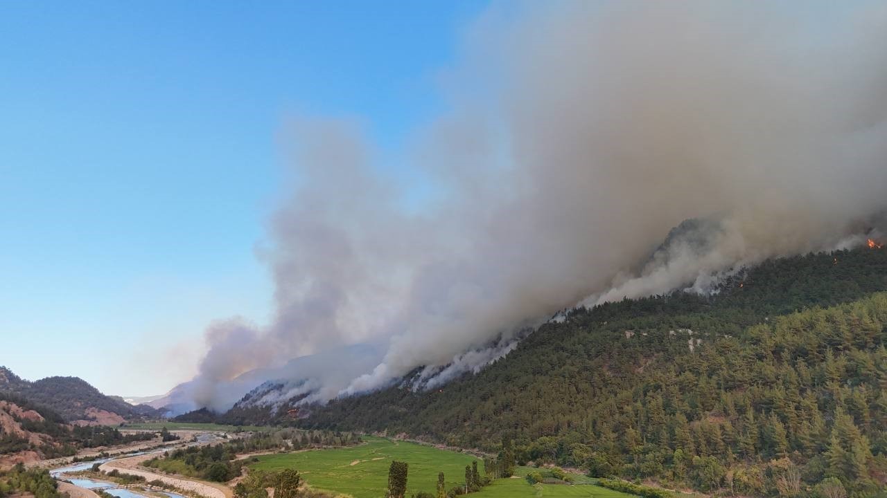 Türkiye orman yangınlarıyla mücadelede alarmda: Risk altındaki alan 12,5 milyon hektar