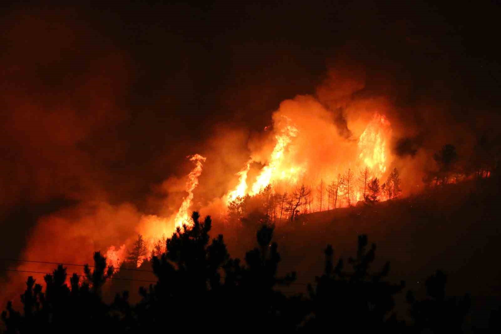T&uuml;rkiye orman yangınlarıyla m&uuml;cadelede alarmda: Risk altındaki alan 12,5 milyon hektar
