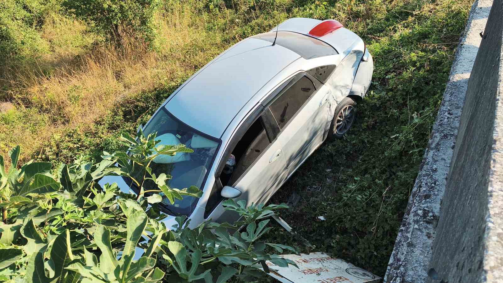 Kontrolden çıkan otomobil tarlaya uçtu 1 kişi yaralandı