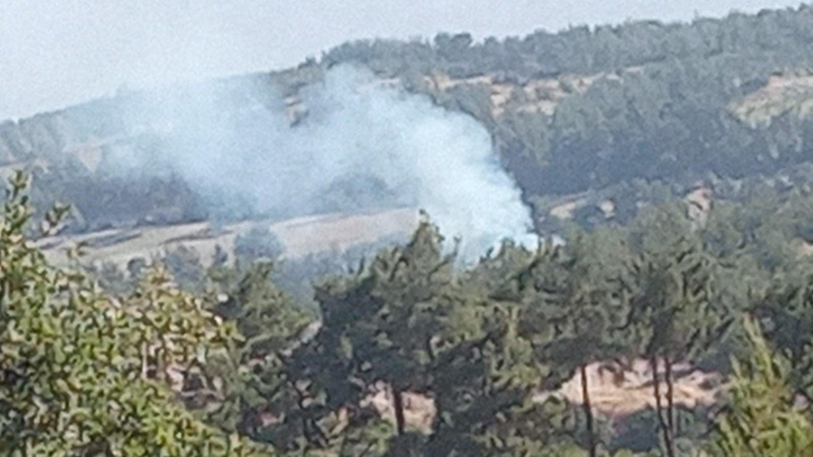 Denizli’de sabaha karşı başlayan orman yangını hızlı müdahaleyle söndürüldü