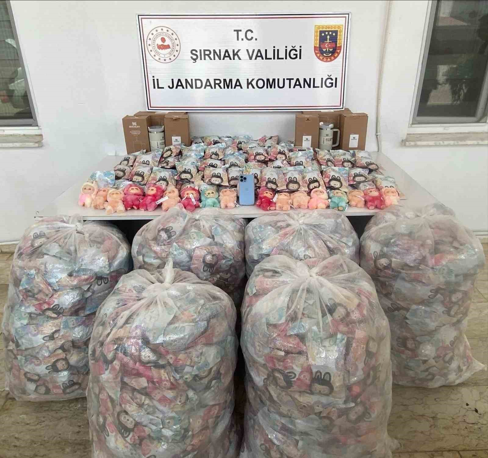 Şırnak’ta jandarmadan mali, narkotik ve kaçakçılık operasyonu