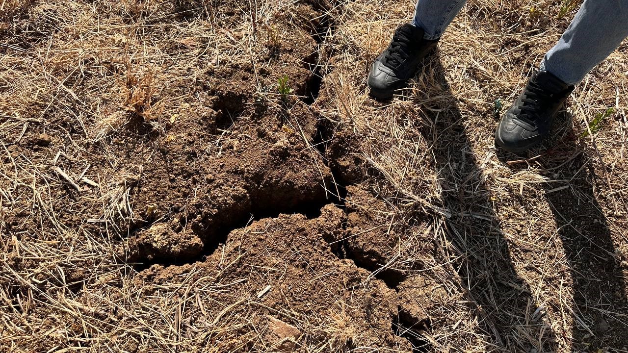 Eller yağmur ve orman yangınları i&ccedil;in semaya a&ccedil;ıldı
