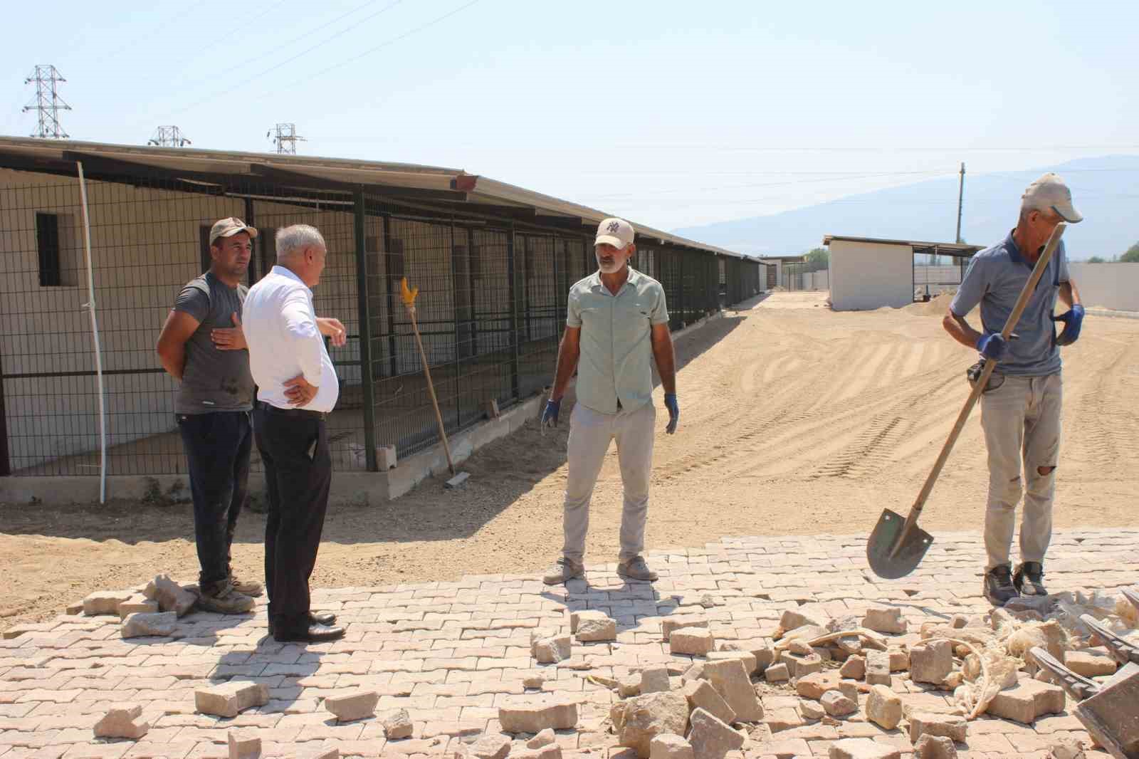 Sultanhisar&rsquo;da hayvan barınağı projesinde geri sayım başladı
