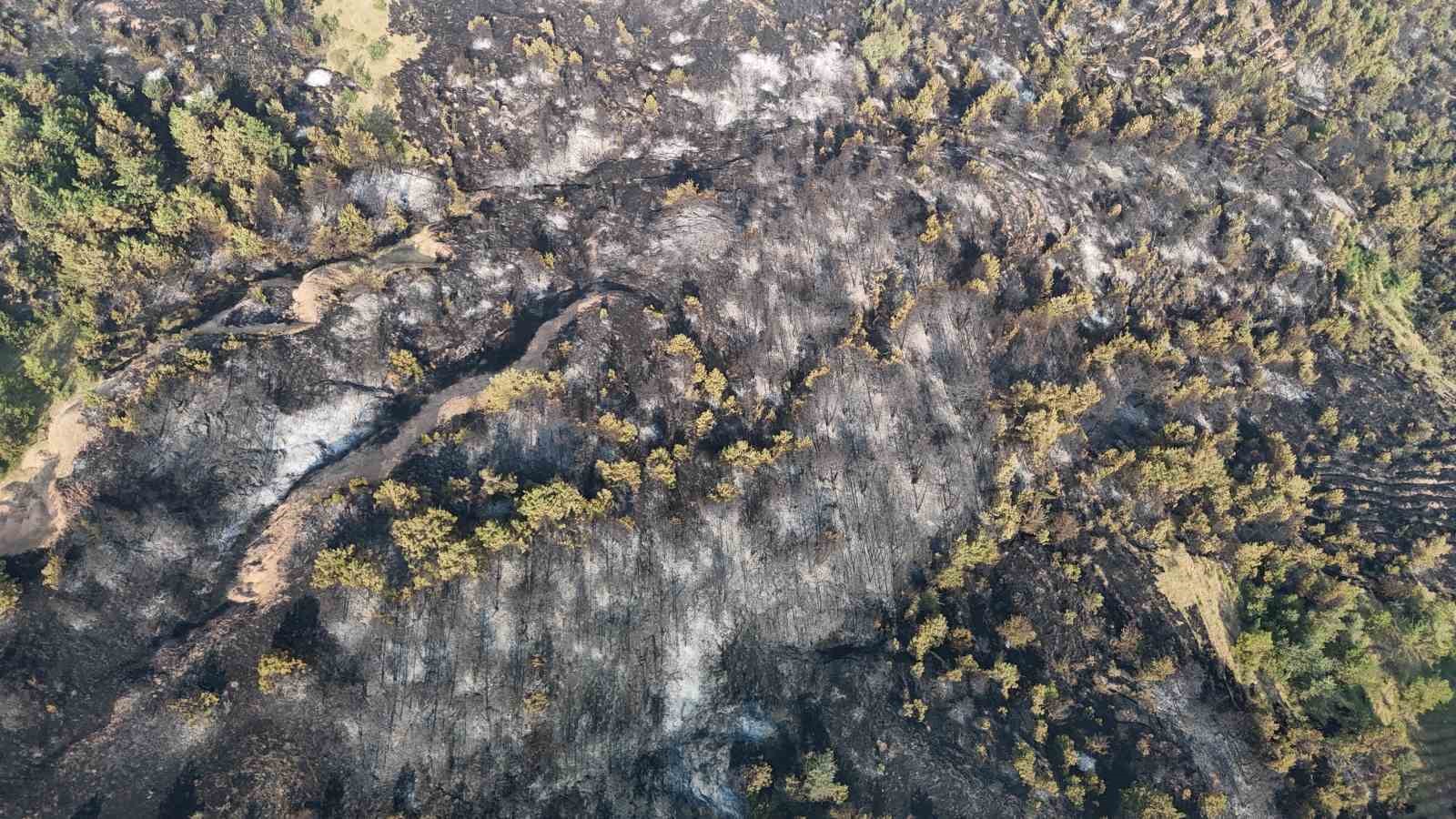 Karabük’teki orman yangını 12 saatte kontrol altina alındı