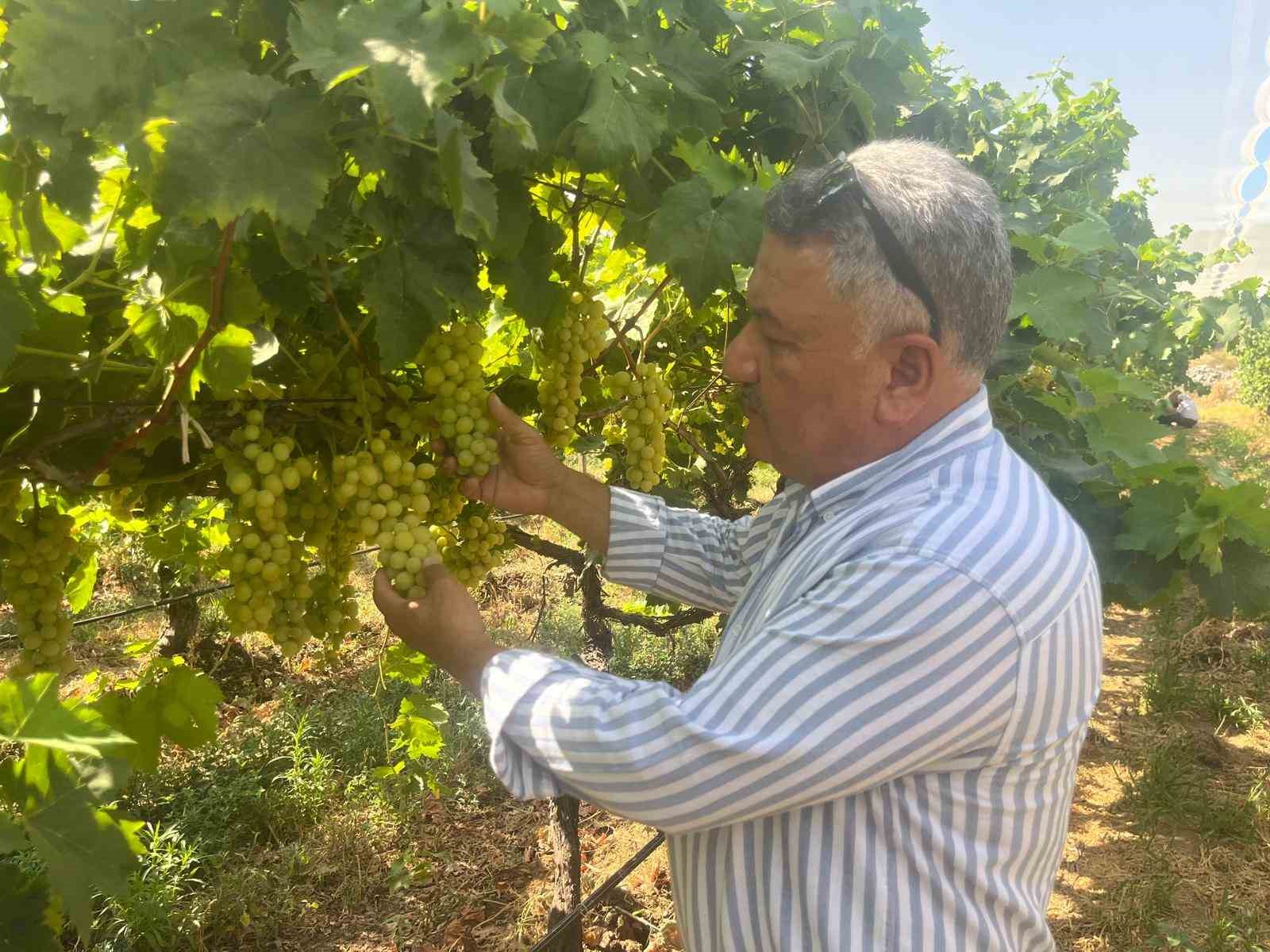 Buldan&rsquo;ın meşhur &uuml;z&uuml;m&uuml; Avrupa ve Arap &uuml;lkelerinden talep alıyor
