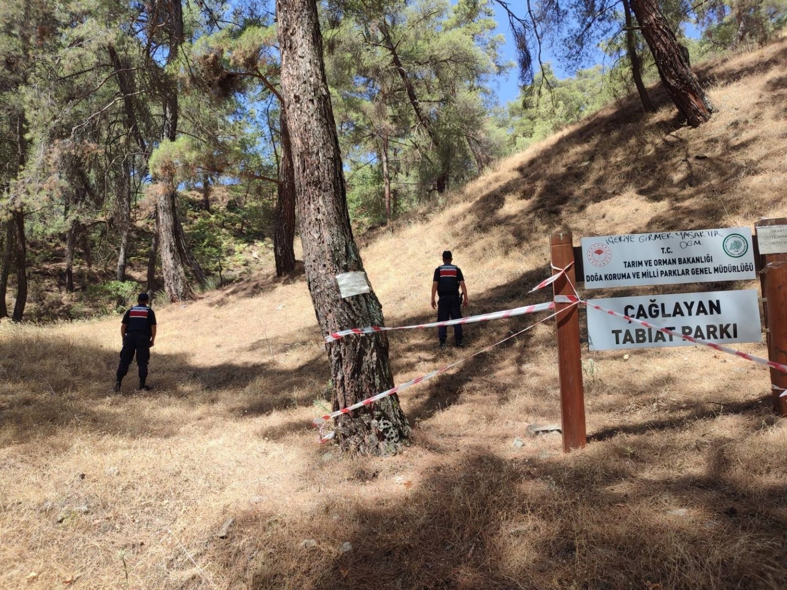 Jandarmadan ‘orman’ nöbeti