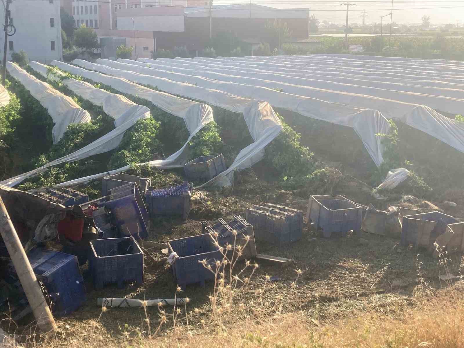 Yoldan &ccedil;ıkıp &uuml;z&uuml;m bağına u&ccedil;an tırın şof&ouml;r&uuml; hayatını kaybetti
