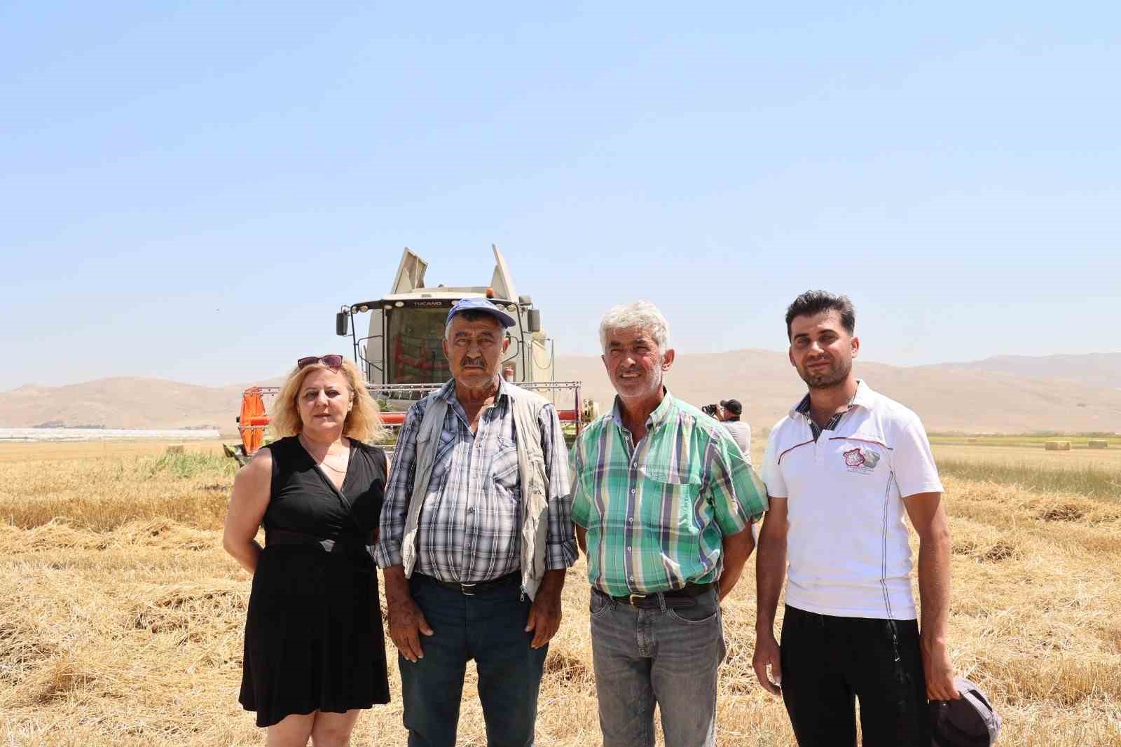 Korkuteli Yeşiloba Yaylası&rsquo;nda hibe tohumların buğday hasadı başladı
