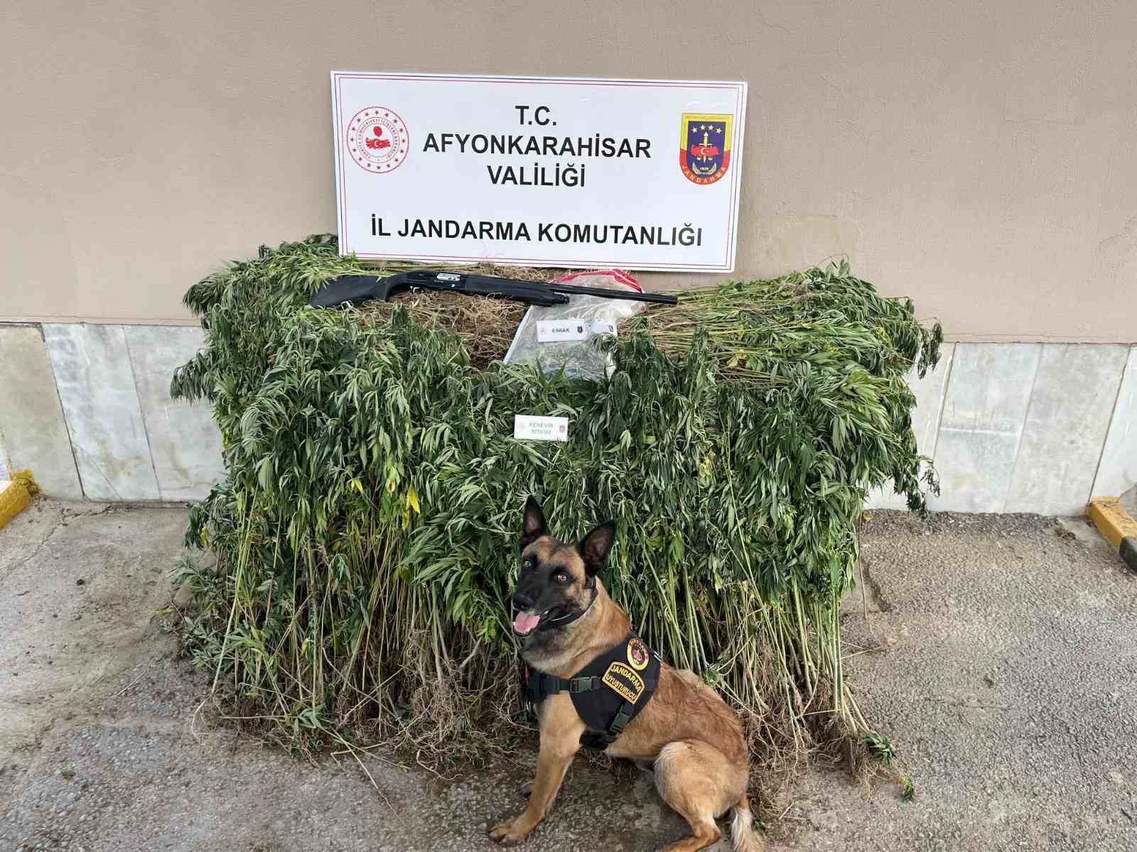 Jandarmadan uyuşturucu operasyonu: 2 gözaltı