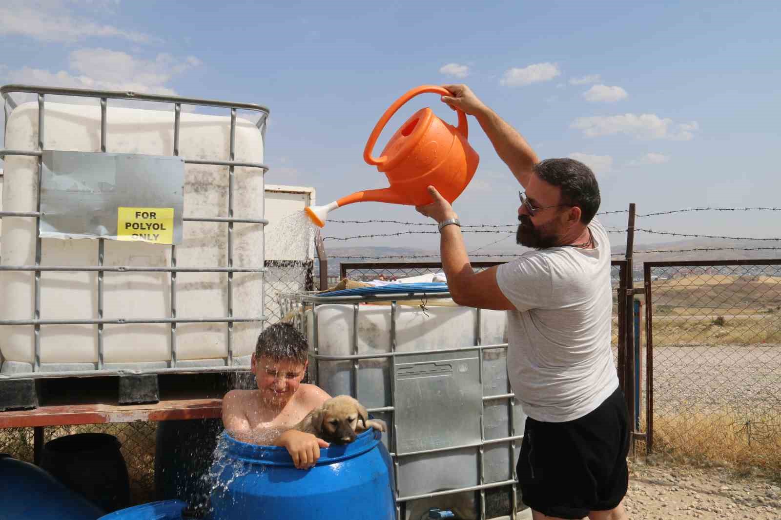Sıcaktan bunaldı yavru kangal ile aynı varilin i&ccedil;inde serinledi
