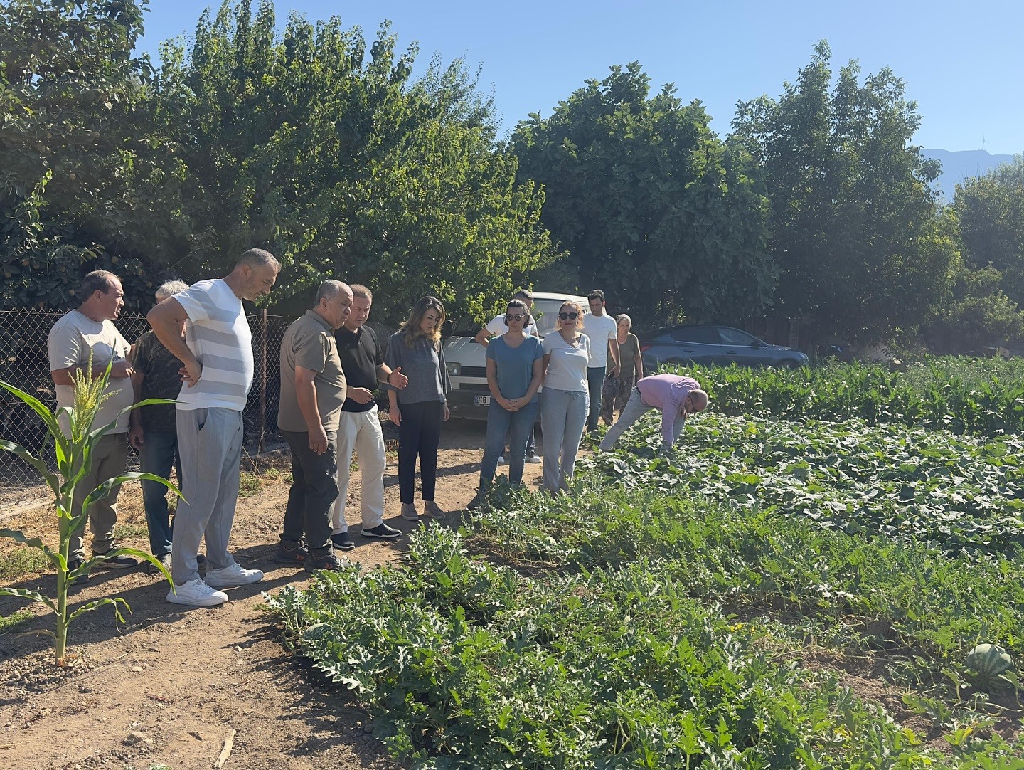 Karabağlar Yaylası&rsquo;nda tarımsal projeler yerinde incelendi
