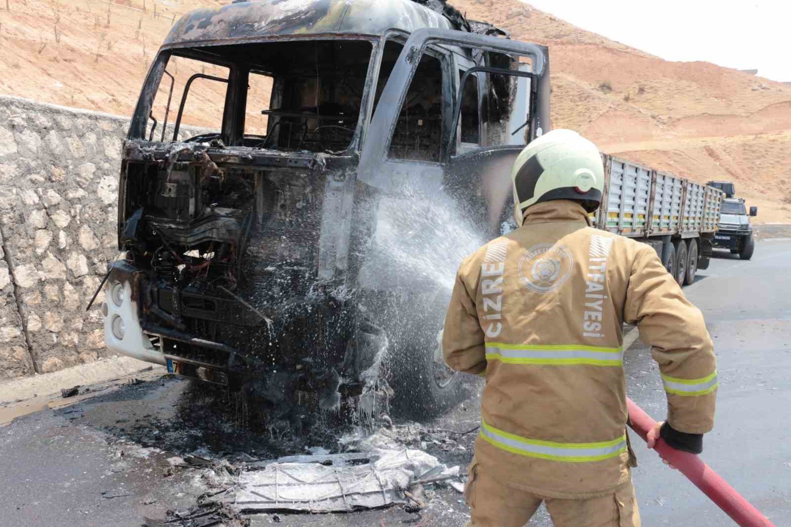 Cizre’de seyir halindeki tır alevlere teslim oldu
