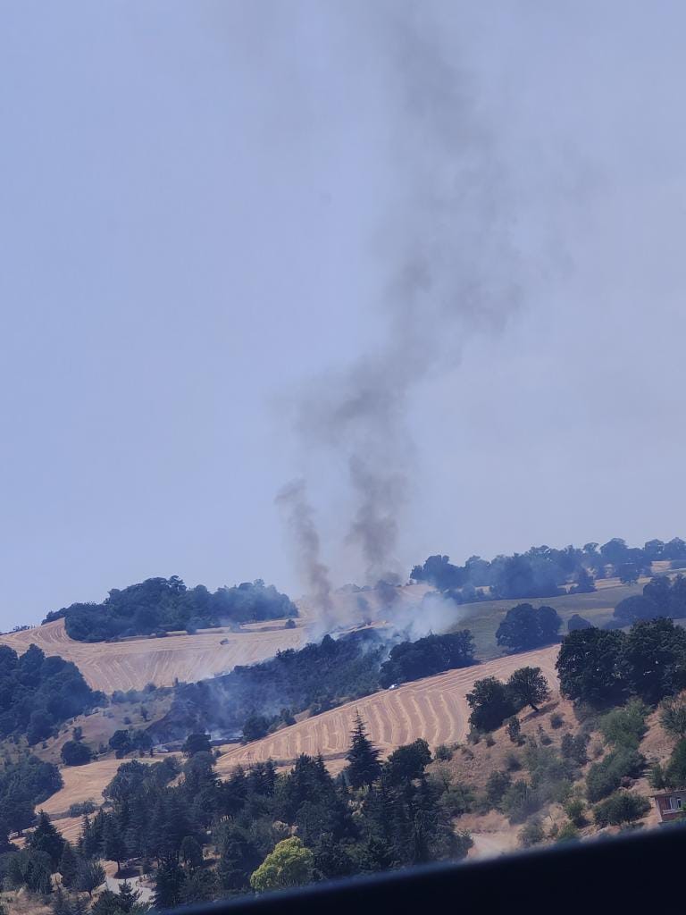 Havza&rsquo;da anız yangını ormana sı&ccedil;radı
