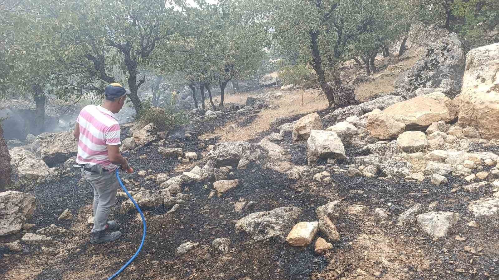Siirt’te orman yangını büyümeden söndürüldü