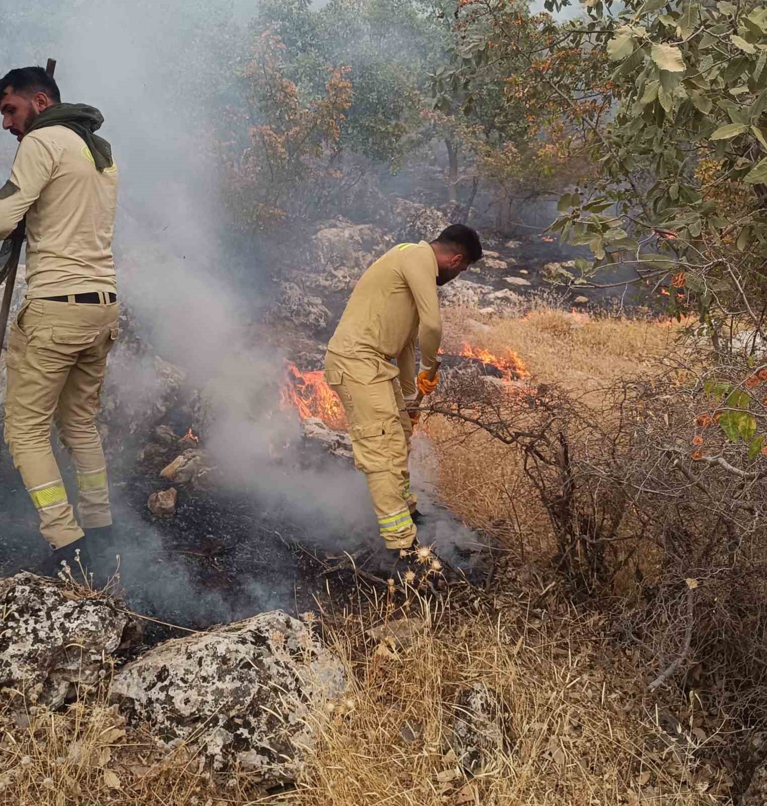 Siirt&rsquo;te orman yangını b&uuml;y&uuml;meden s&ouml;nd&uuml;r&uuml;ld&uuml;
