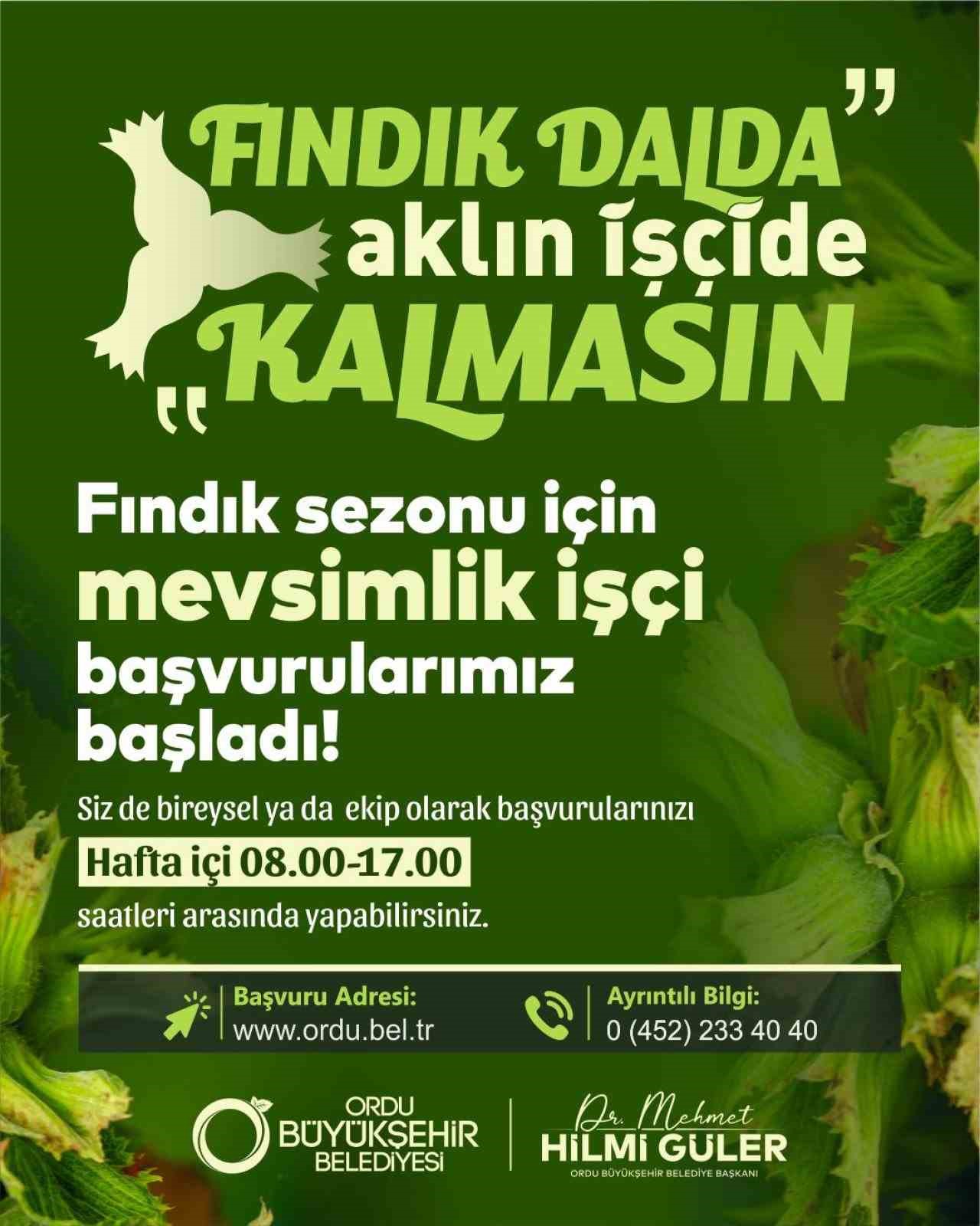Ordu&rsquo;da fındık toplamaya rekor başvuru
