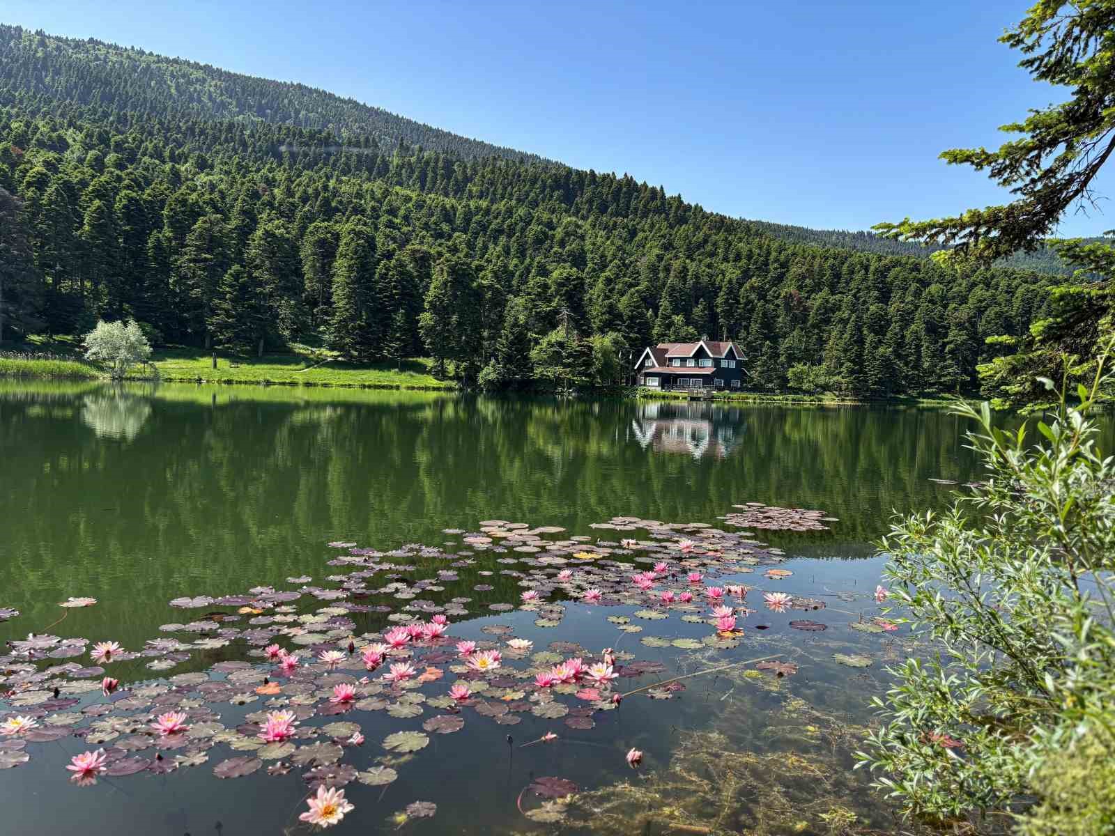 Bolu’da ‘ateşli piknik’ tamamen yasaklandı