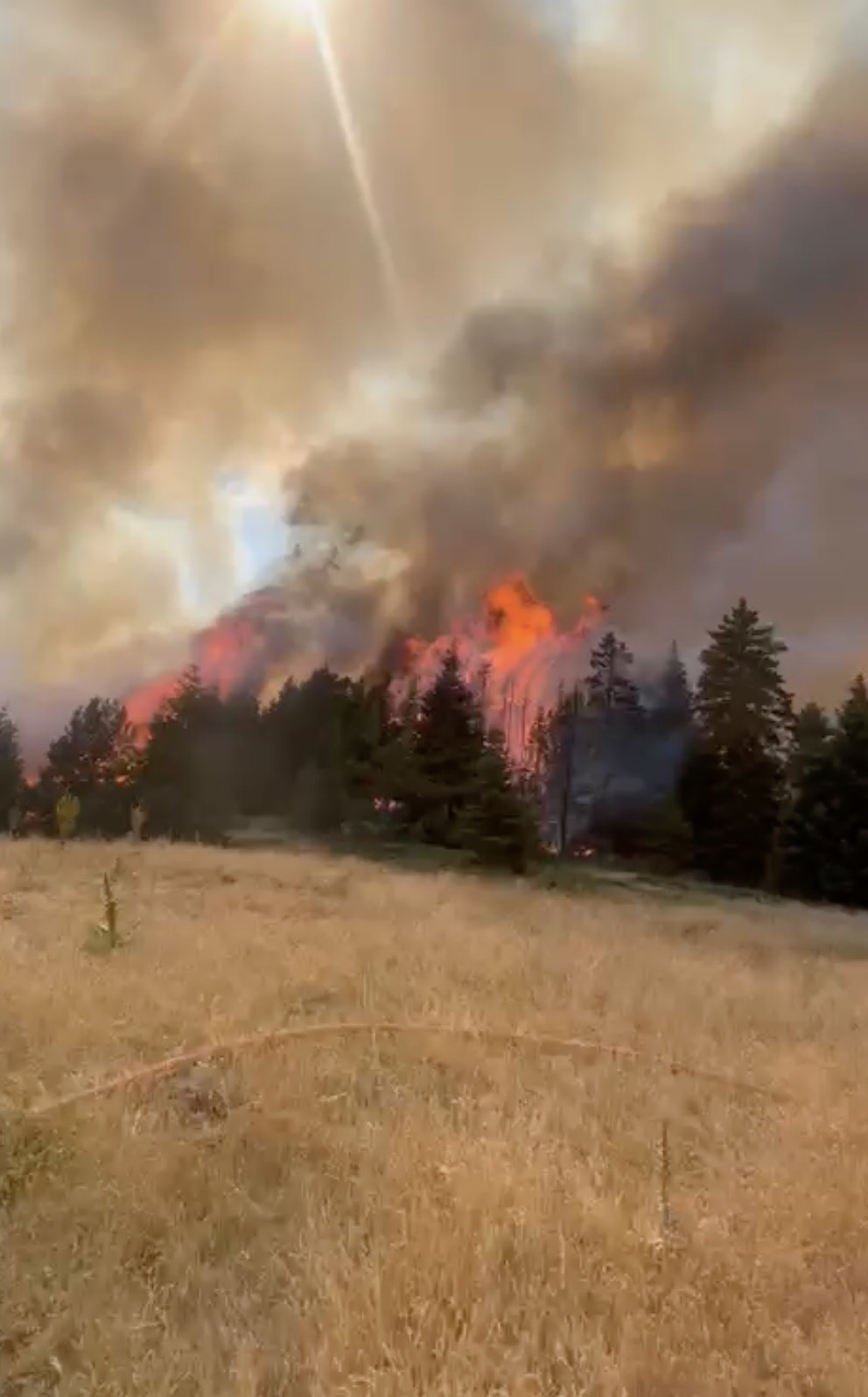 Çankırı’da orman yangını