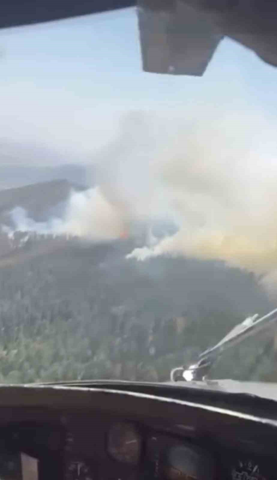 &Ccedil;ankırı&rsquo;da orman yangını
