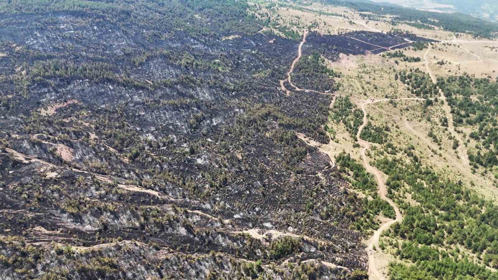 Karab&uuml;k&rsquo;te orman yangınının ardından y&uuml;rek burkan manzara
