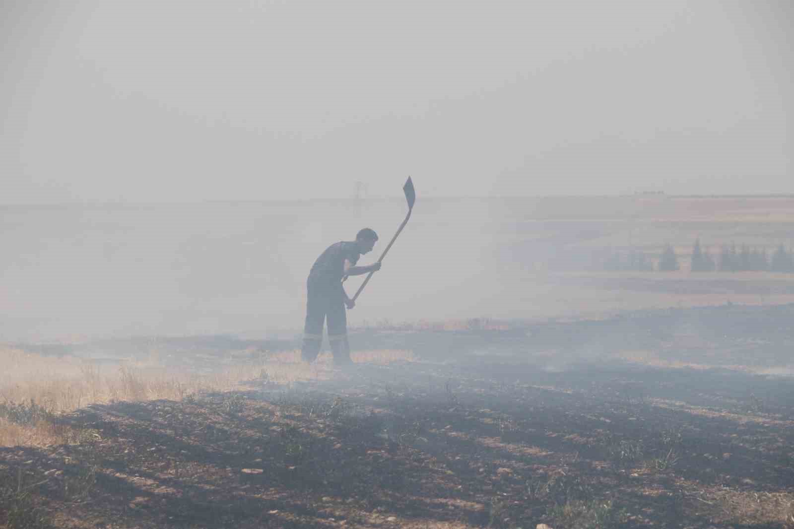 Trafodan çıkan yangında 50 dönüm tarım arazisi kül oldu