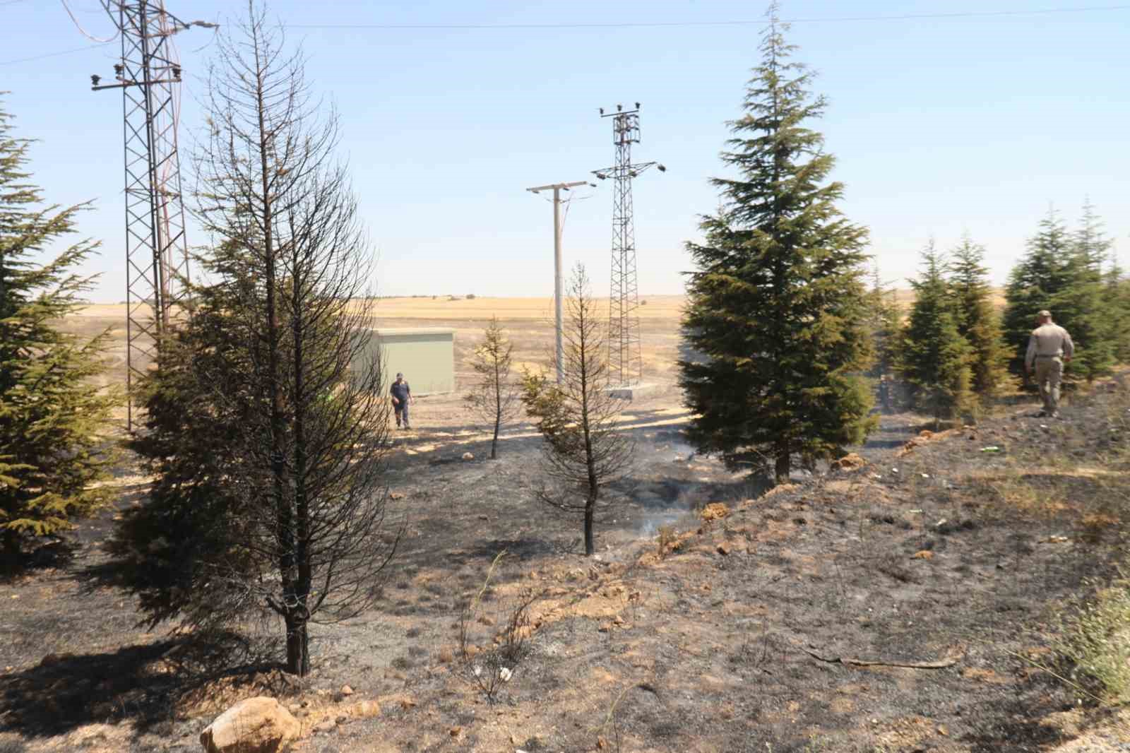 Trafodan çıkan yangında 50 dönüm tarım arazisi kül oldu