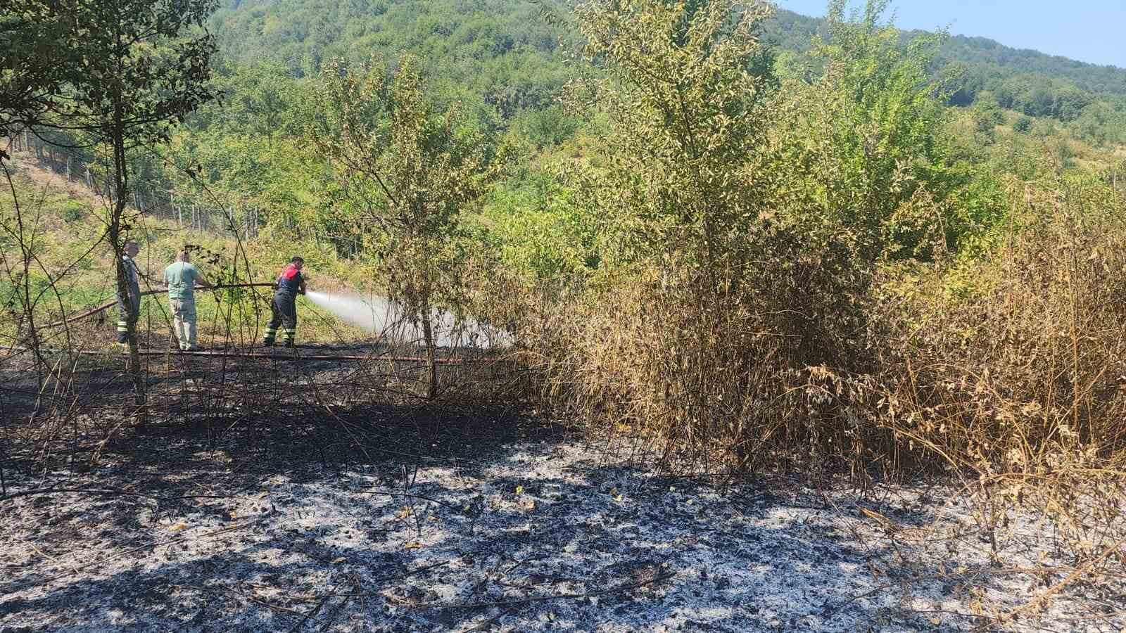 Bartın’da anız yangını ormana sıçramadan söndürüldü