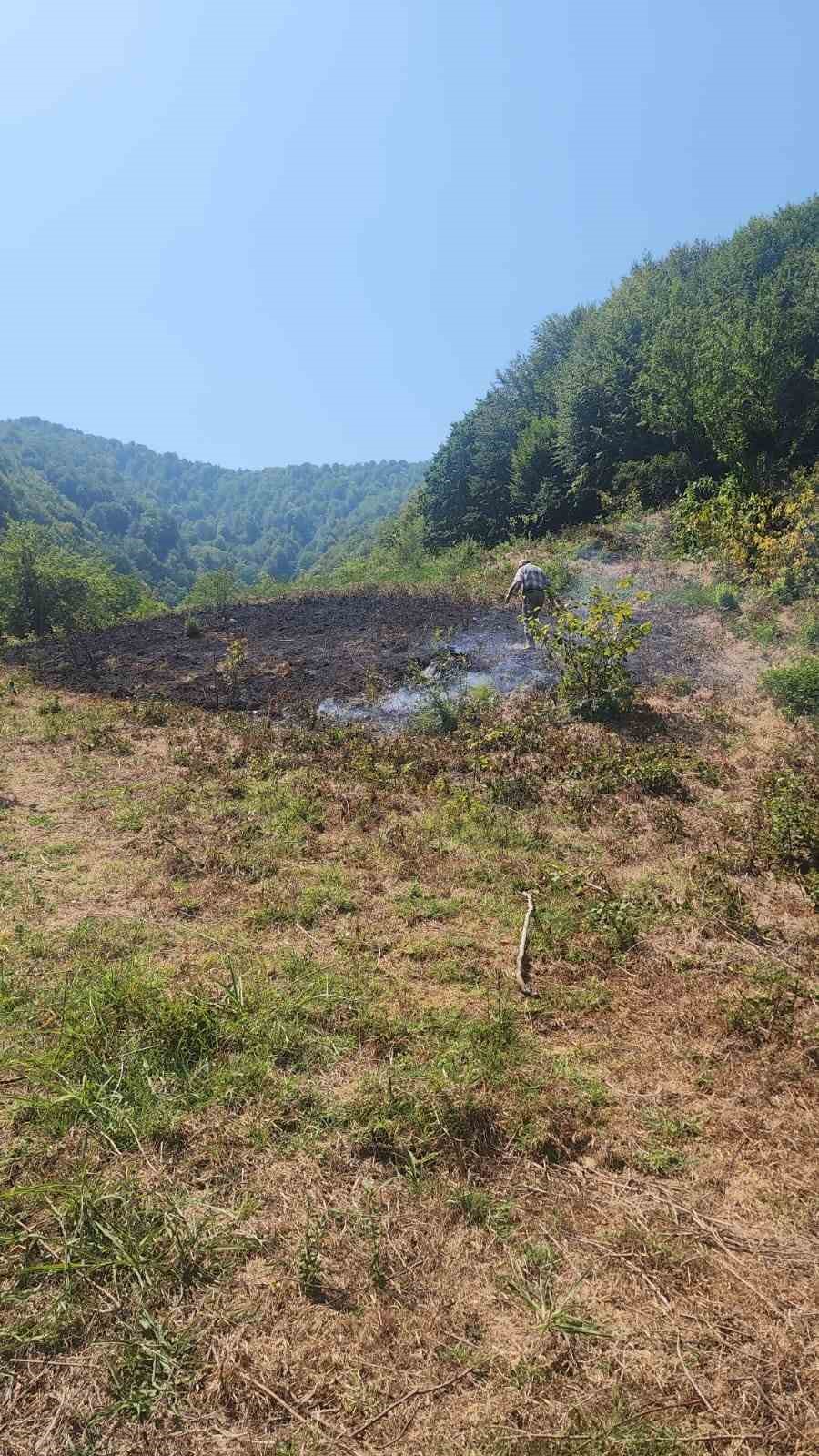 Bartın&rsquo;da anız yangını ormana sı&ccedil;ramadan s&ouml;nd&uuml;r&uuml;ld&uuml;
