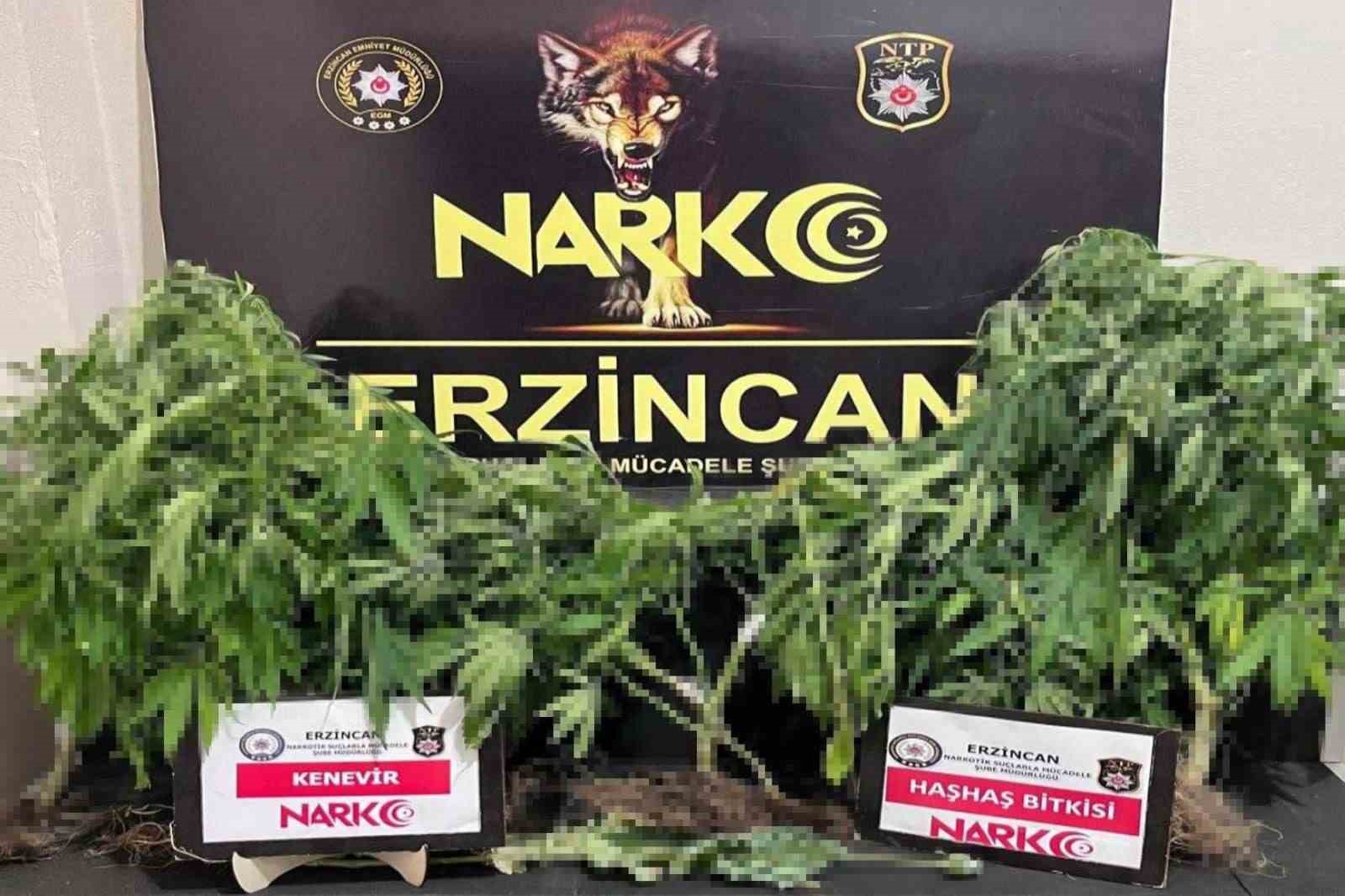 Erzincan polisi uyuşturucuya geçit vermiyor