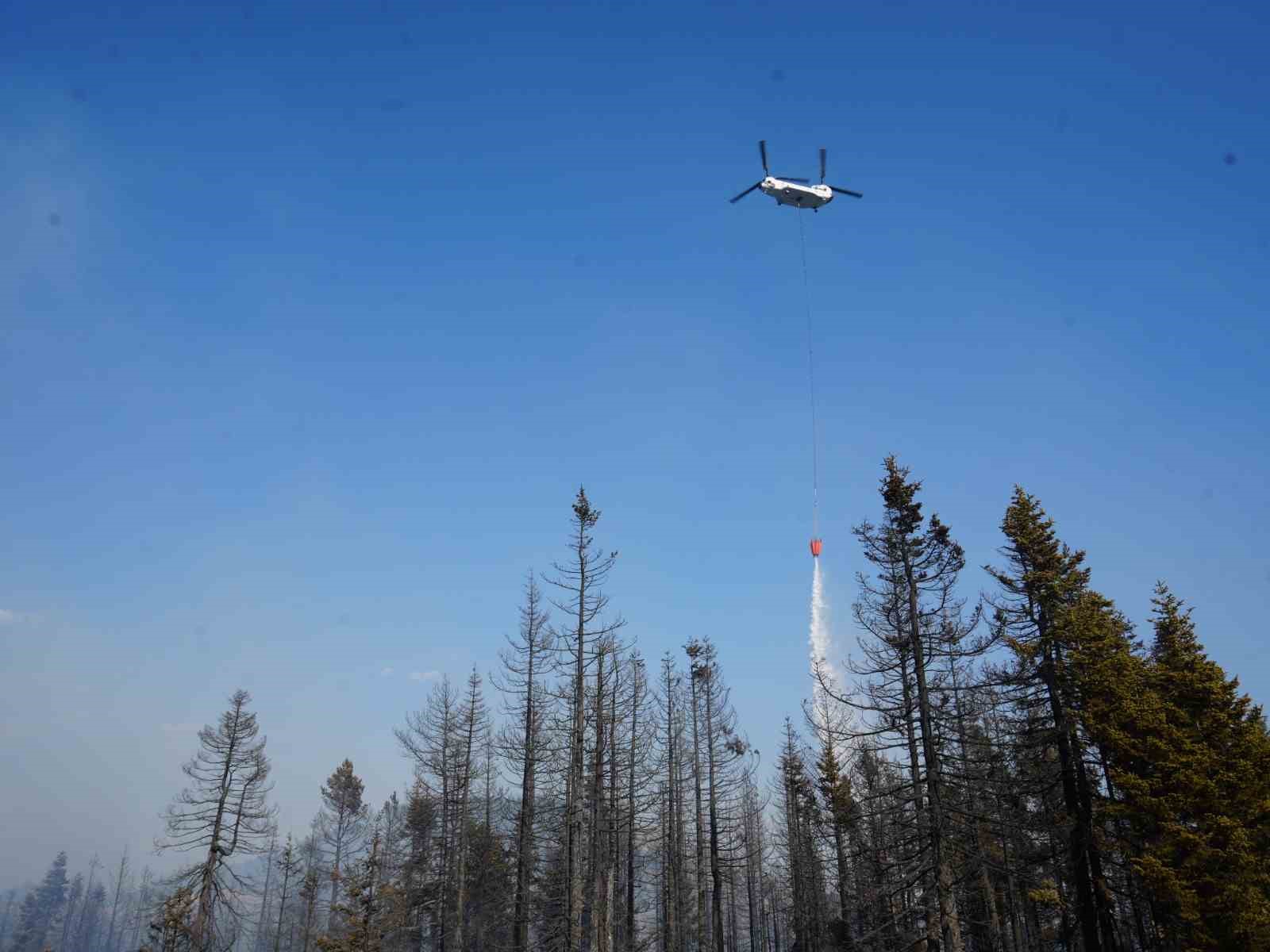 Çankırı’daki orman yangınına havadan ve karadan müdahale ediliyor