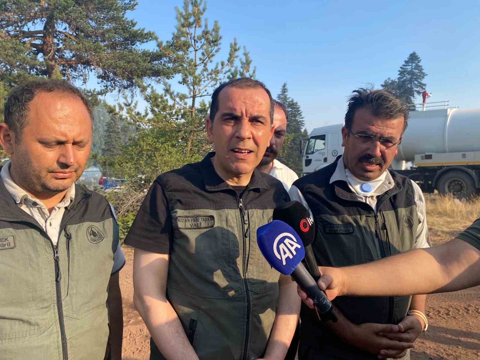 Çankırı Valisi Taşolar: "Yangının ilerleyişi durduruldu"