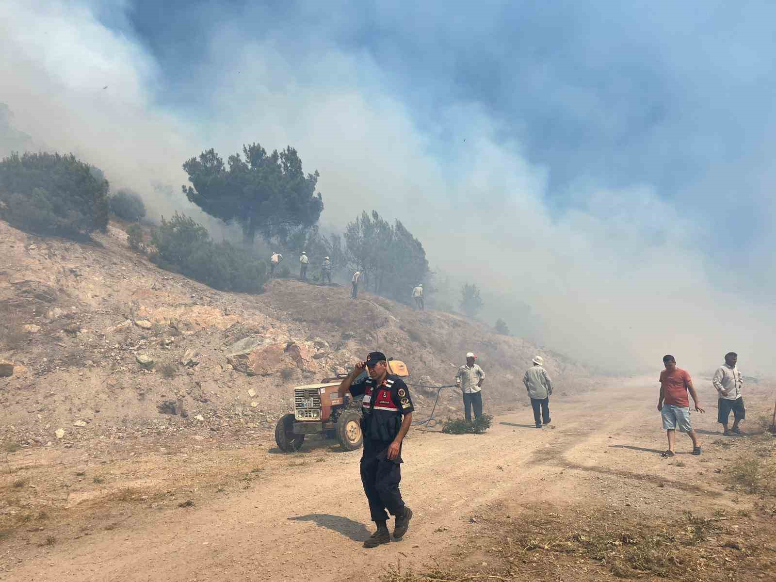 Manisa’daki orman yangını kontrol altına alındı