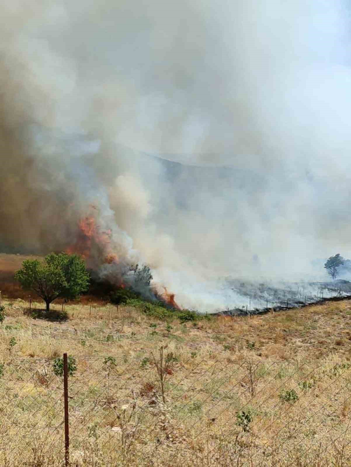 Manisa&rsquo;daki orman yangını kontrol altına alındı
