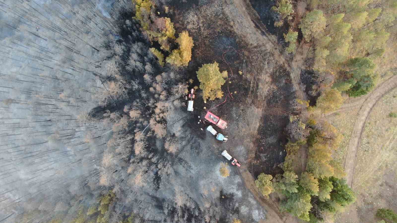 &Ccedil;ankırı&rsquo;daki orman yangını kısmen kontrol altına alındı

