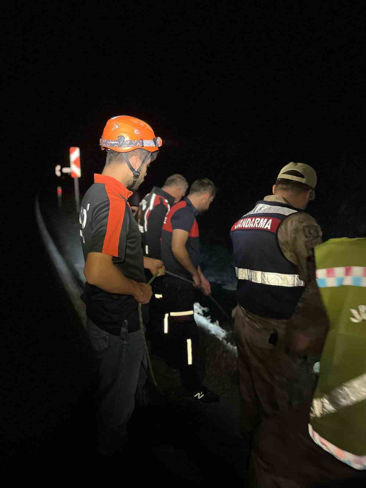 Baykan’da hafif ticari araç dereye uçtu: 1 yaralı
