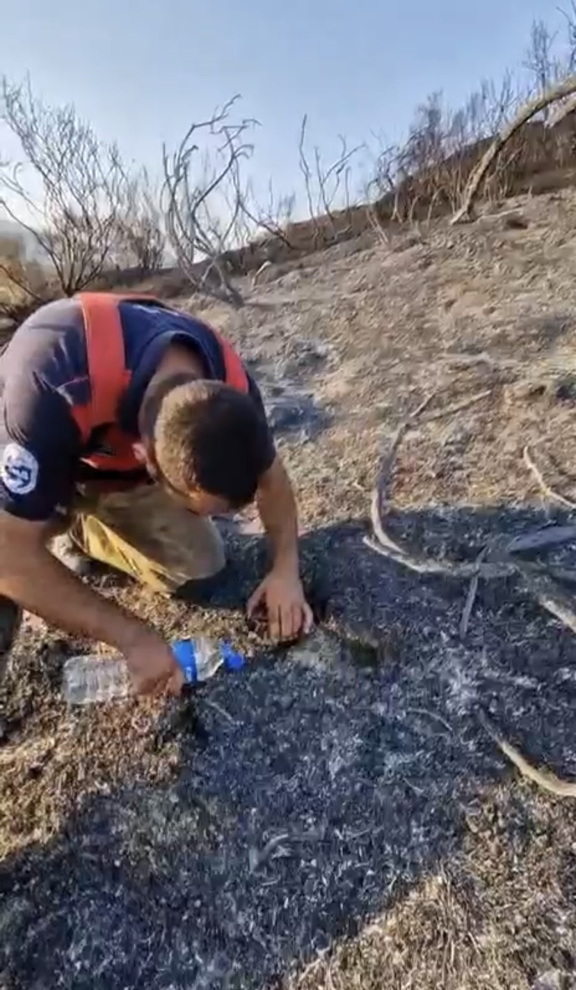 İtfaiyeciden, alevler i&ccedil;inde mahsur kalan kaplumbağaya can suyu
