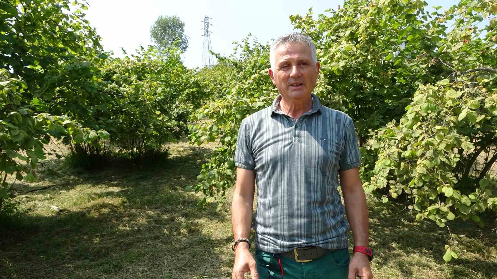 Fındıkta erken hasat uyarısı
