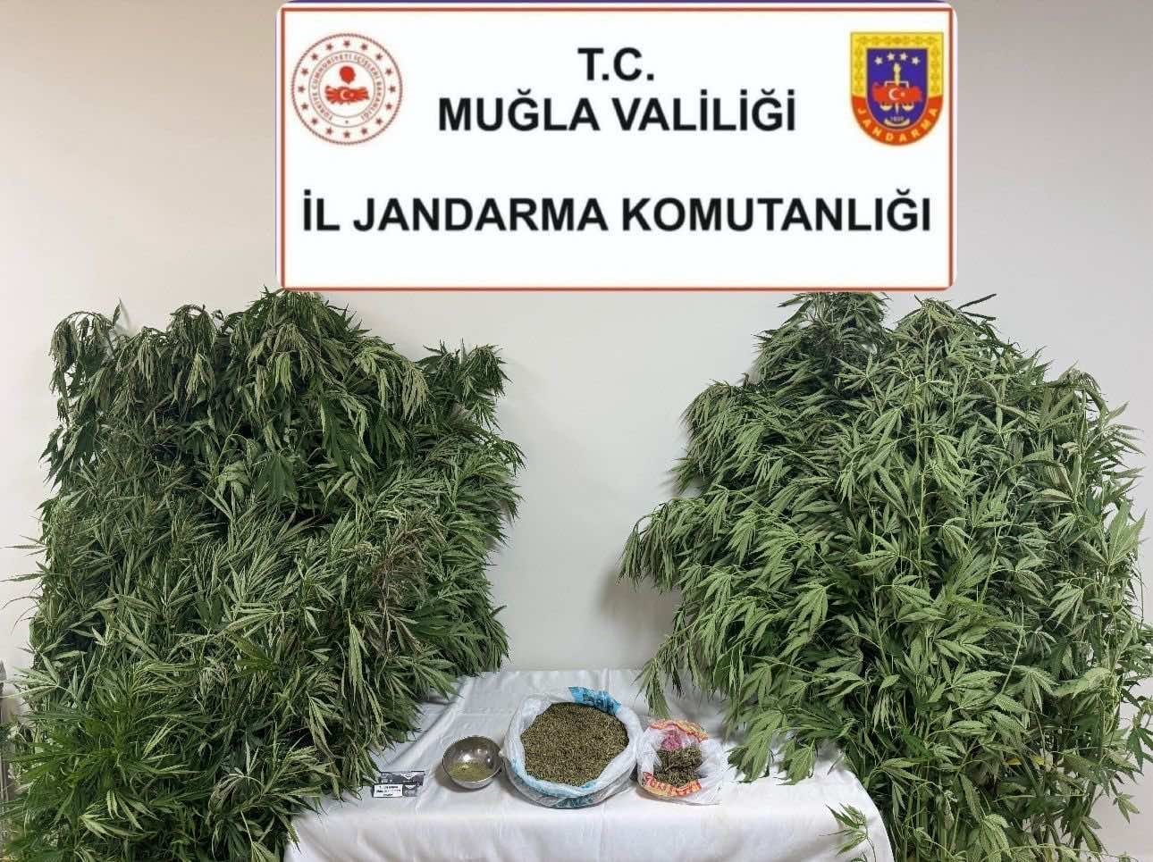 Karabağlar Yaylası’nda uyuşturucu operasyonu: 1 gözaltı